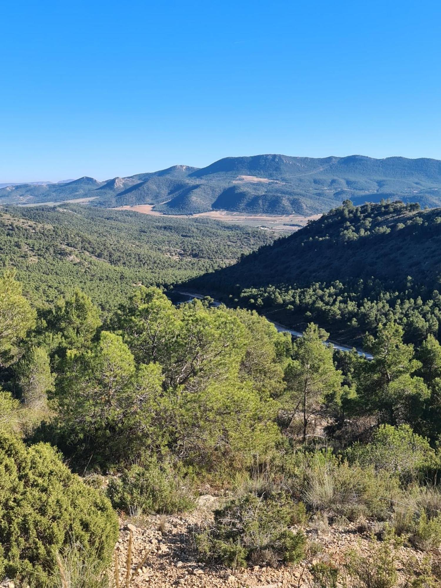 Apartamento Sierra Del Fraile บิยาร์ ภายนอก รูปภาพ